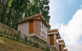 Villa di Madeira